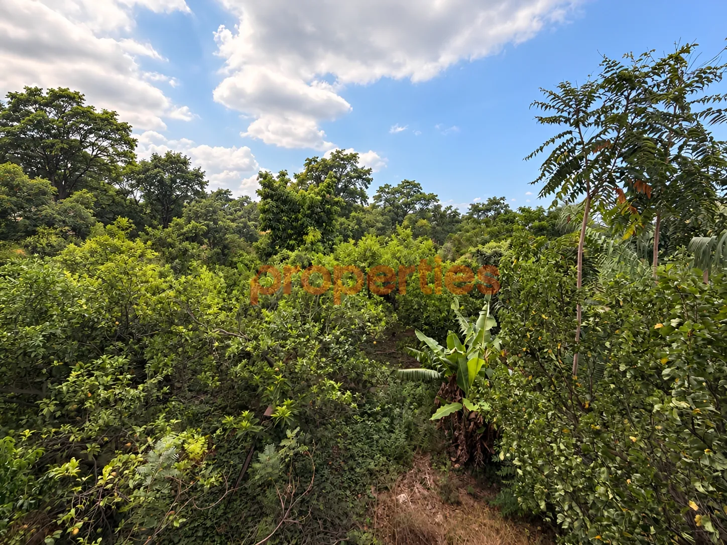 Residential Land for Rent in Naqqache