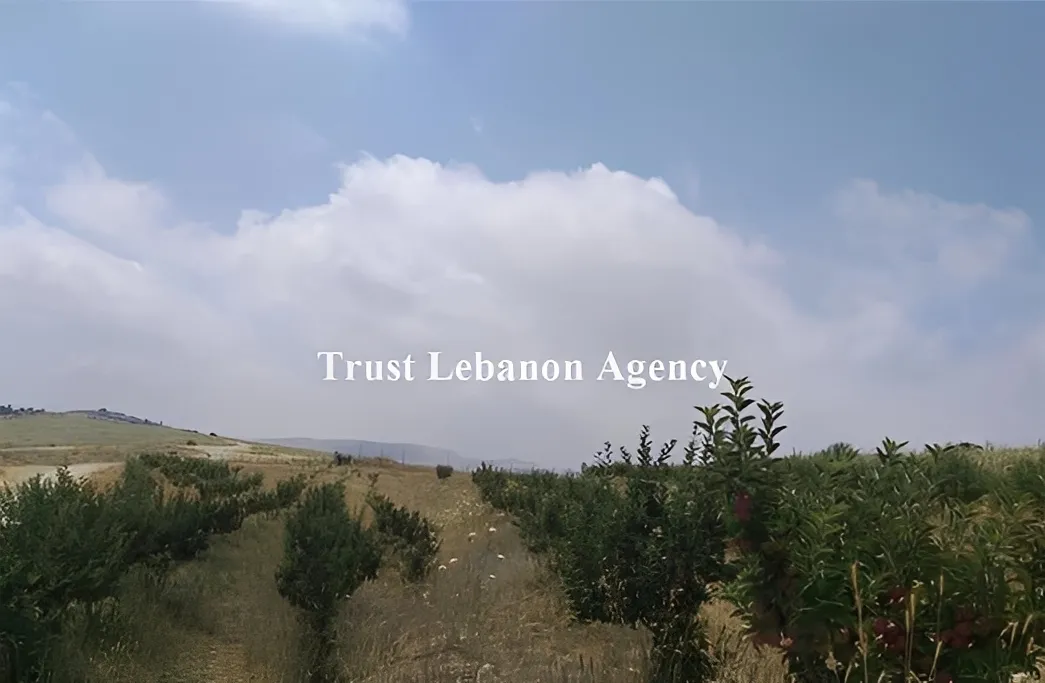 Land for Sale in Ain Dara Alay Lebanon