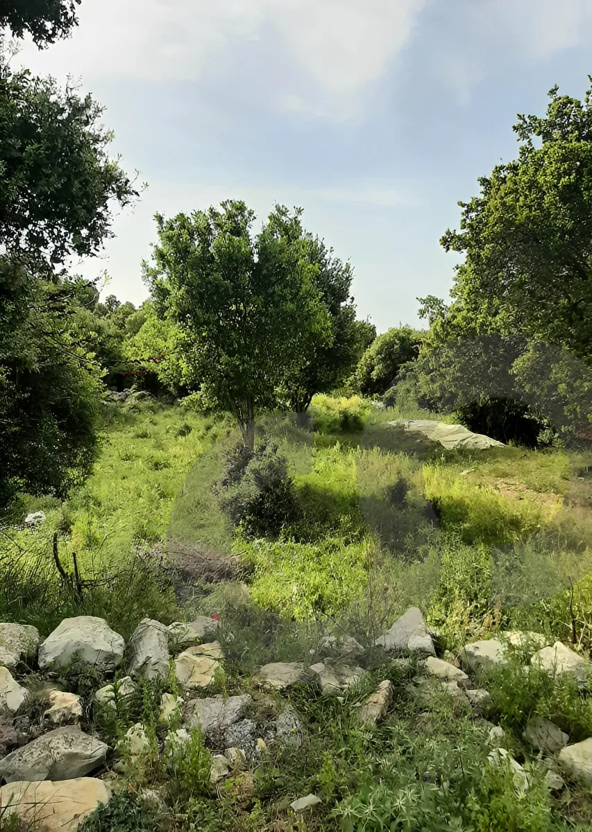 Land for Sale in Aamchit, Lebanon
