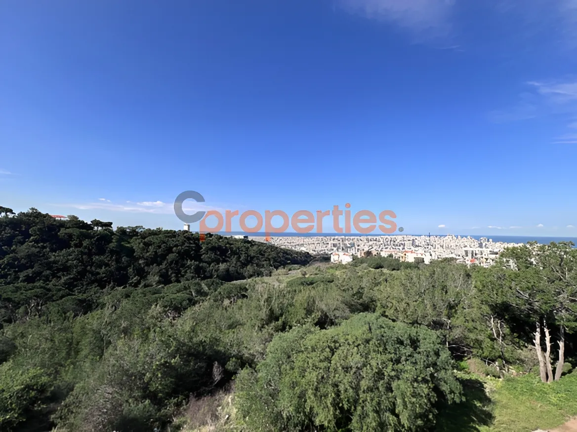 Apartment for Sale in Mar Roukouz
