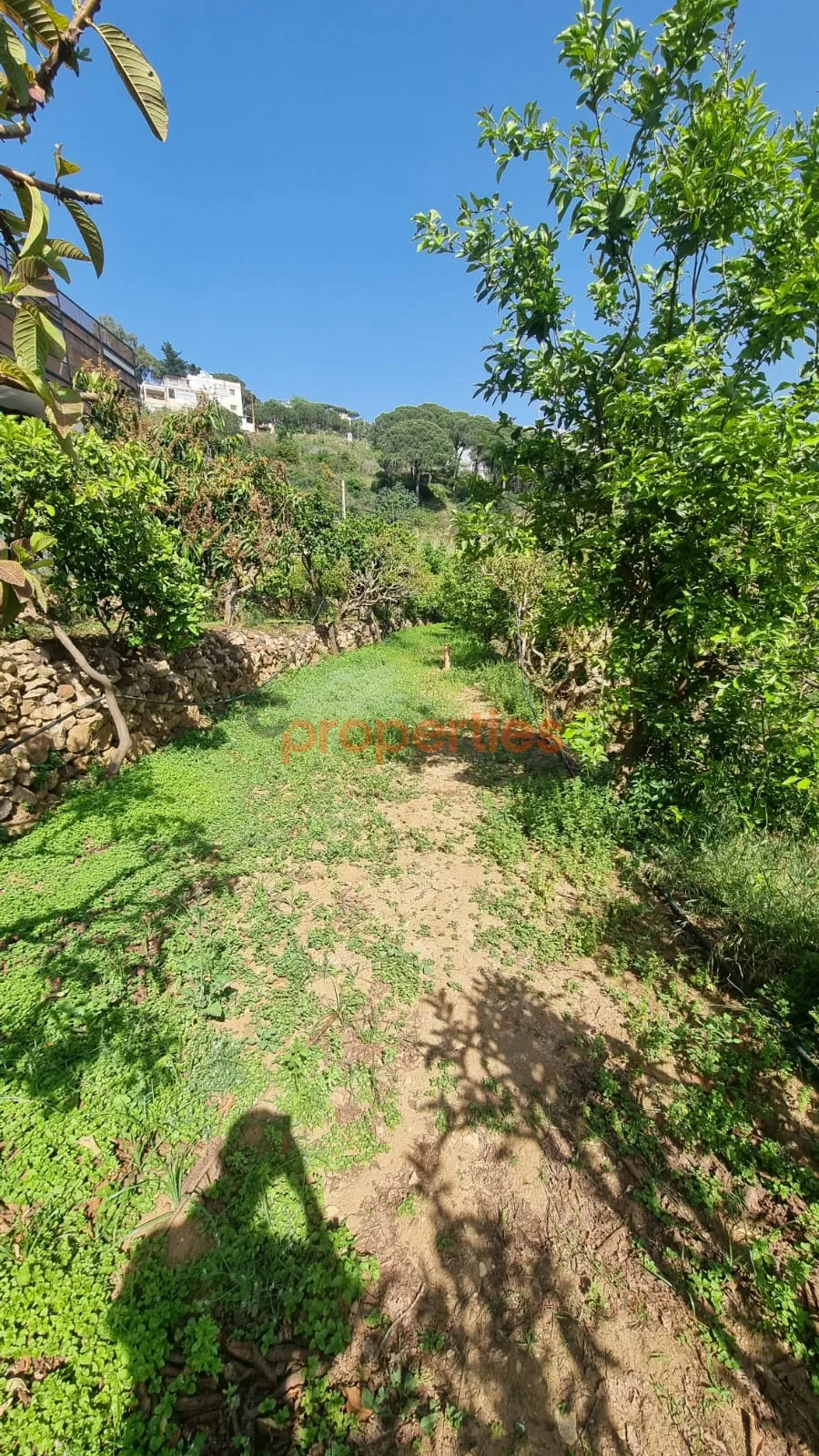 Residential Land for Rent in Kahaleh