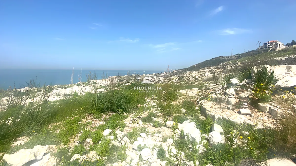 Land for Sale in Monsef