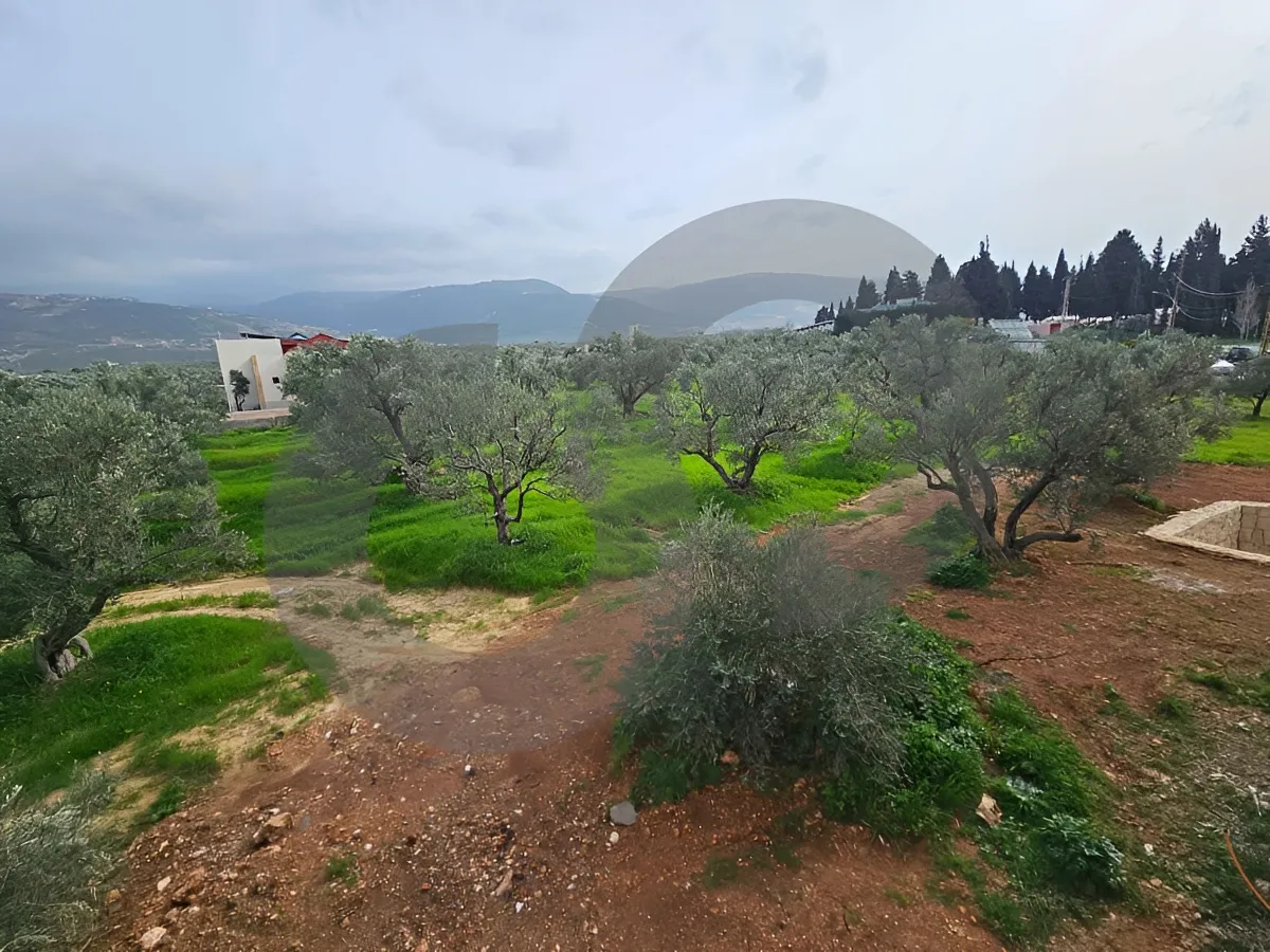 Apartment for Sale in Zgharta, Lebanon