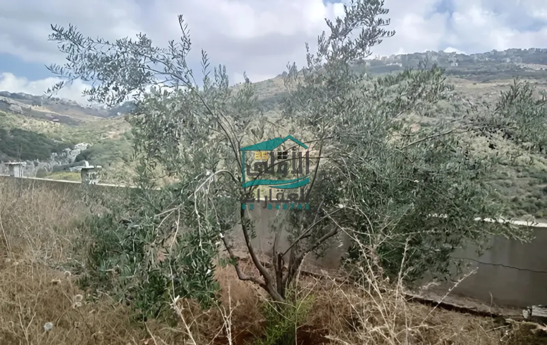 Residential in عين الجديدة، عاليه، lebanon