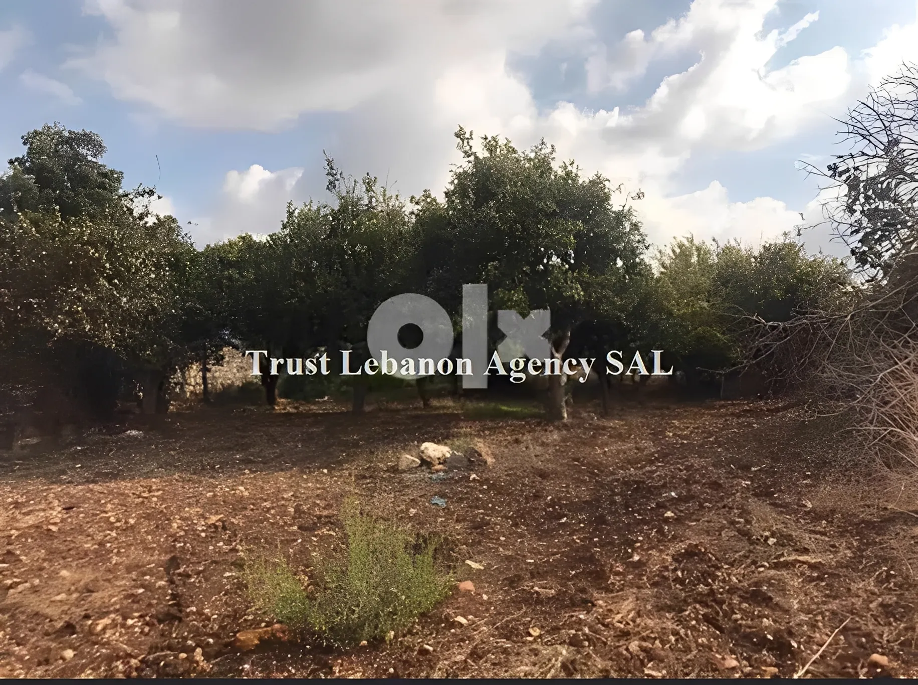 Land for Sale in Nabatiye Lebanon
