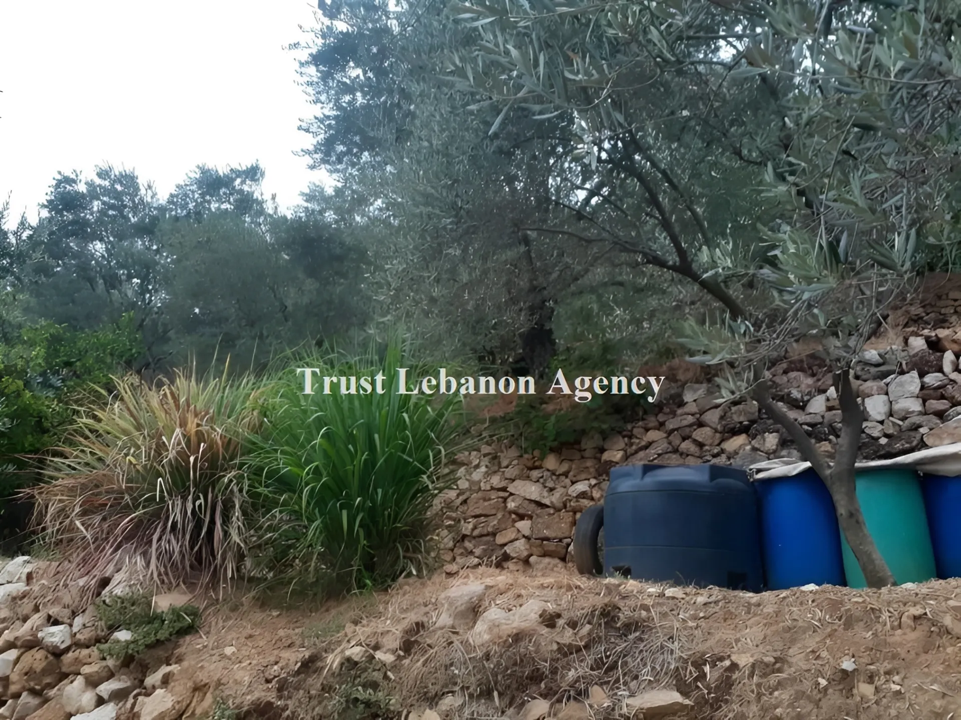 Land for Sale in Jezzine
