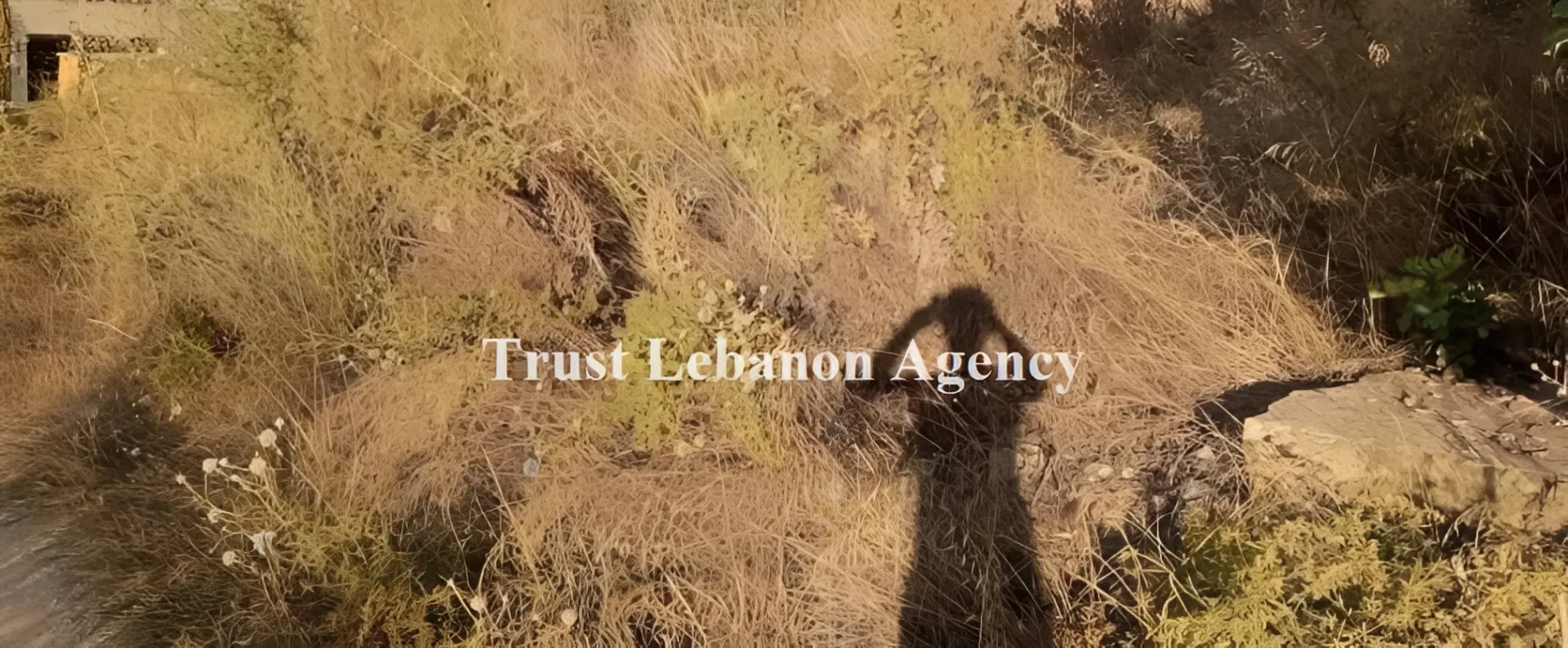 Land for Rent in Alay, Ain Ounoub