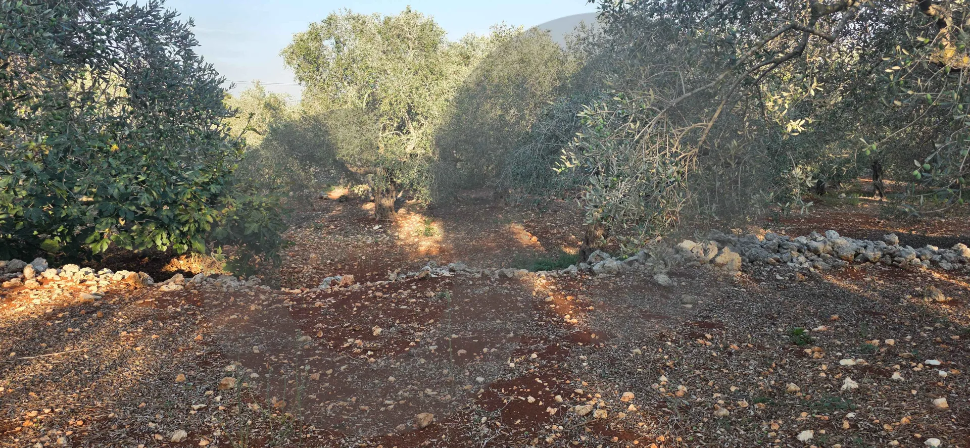 Land for Sale in Koura