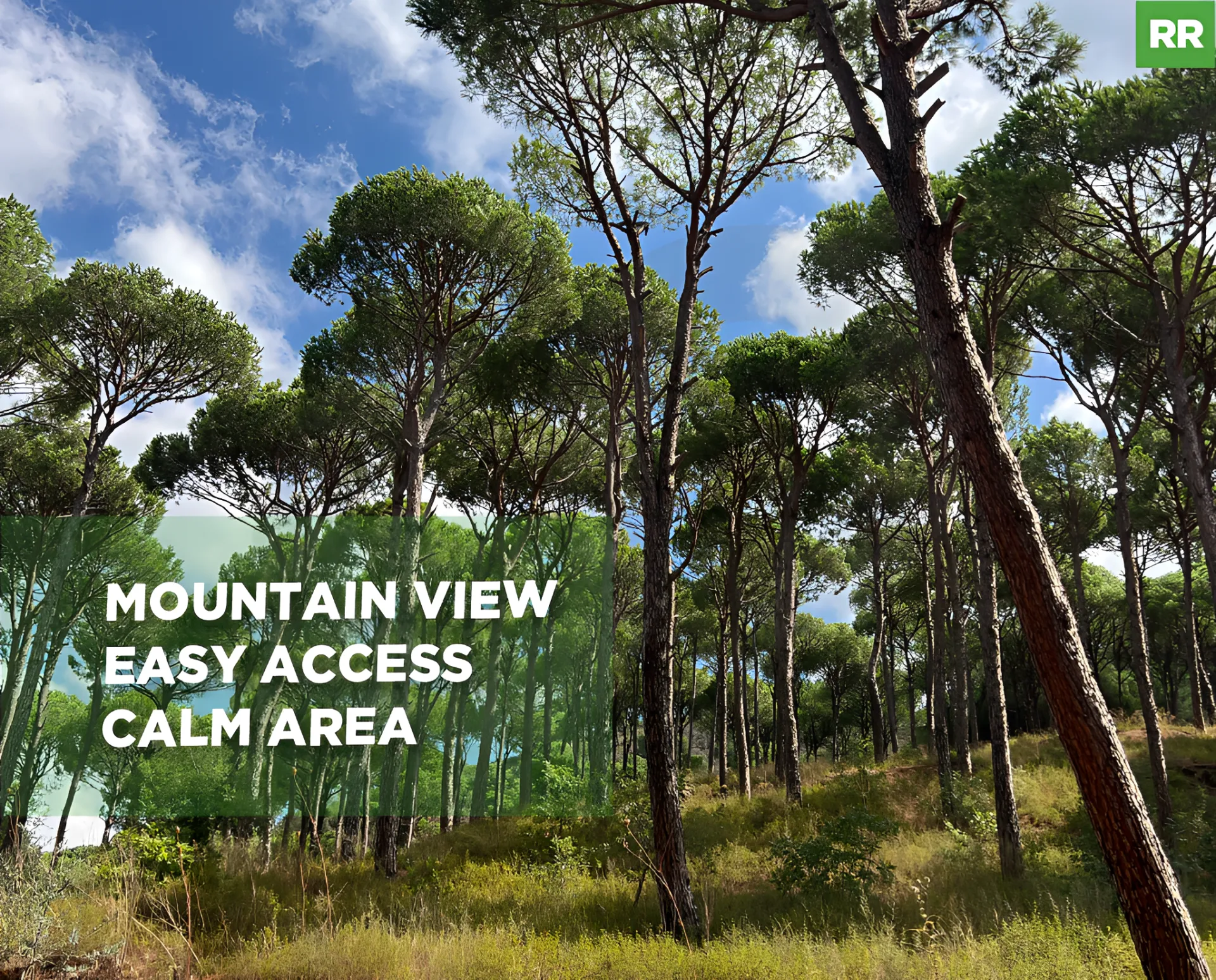 Land for Sale in Aley