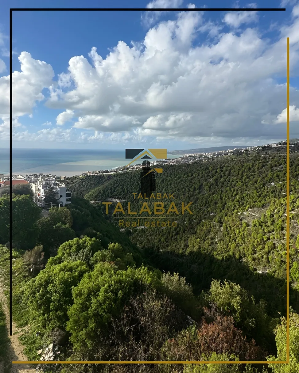 Apartment for rent in Bouar, Lebanon