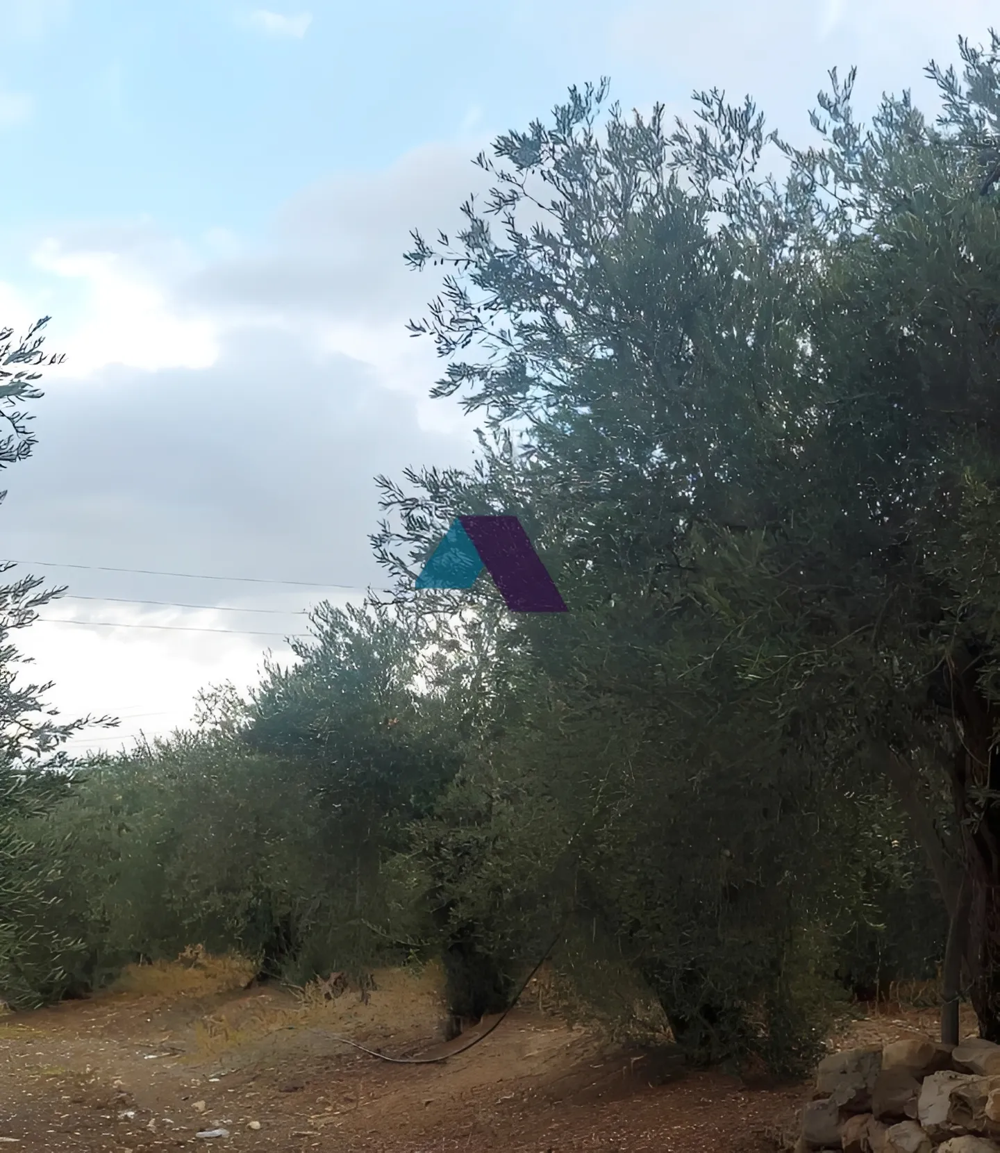 Land for Sale in Koura