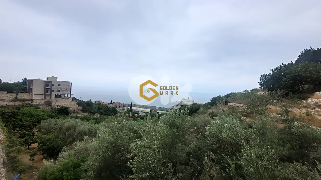 Land for Sale in Berbara