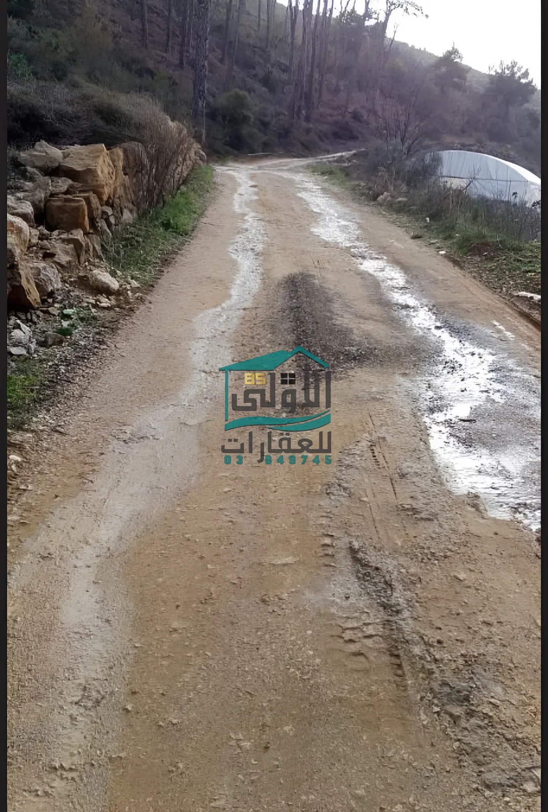 Land in عاليه، lebanon
