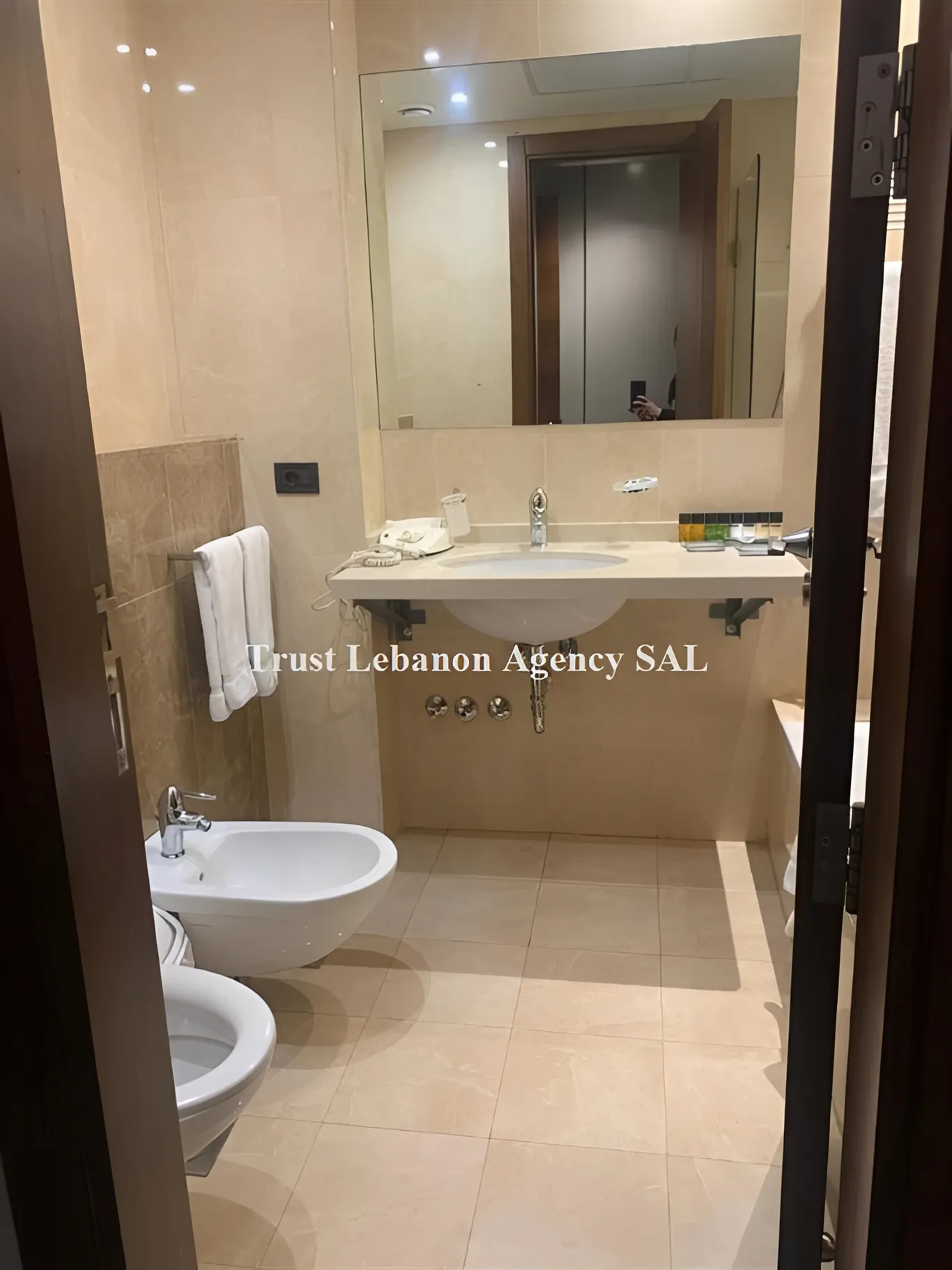Apartment for Rent in Achrafieh Saifi