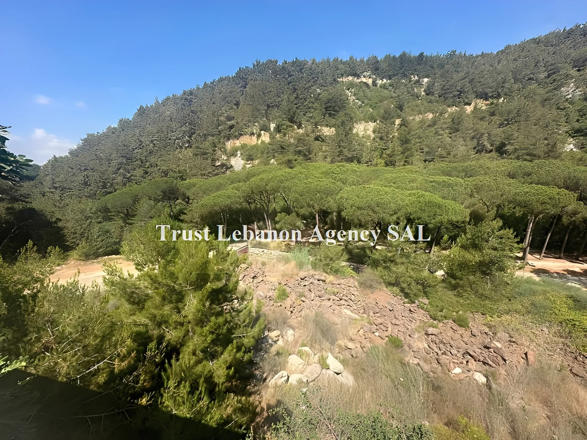 Land for Sale in Metn Jouret El Ballout Lebanon