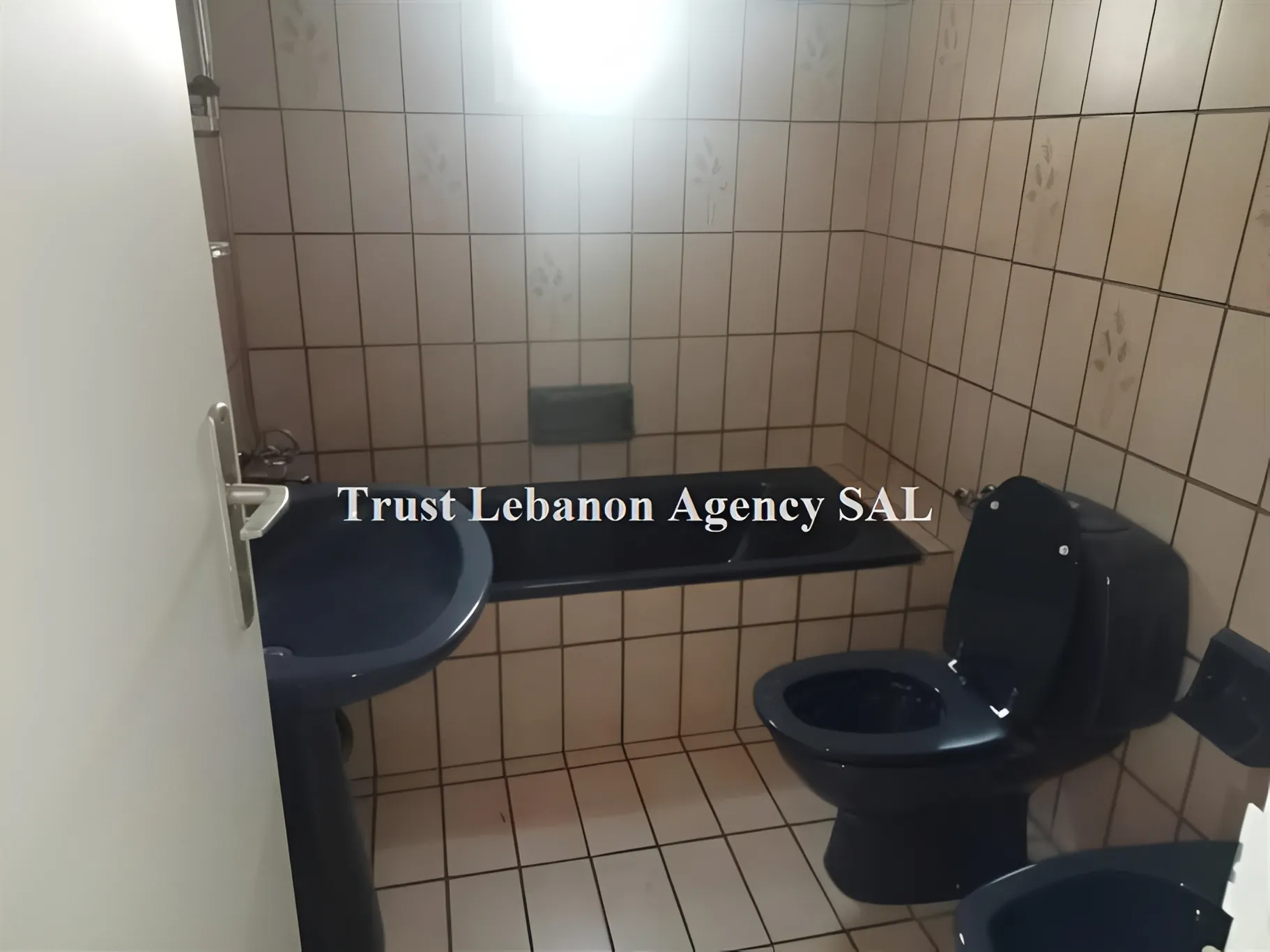 Apartment for Sale in Metn Sin El Fil Lebanon