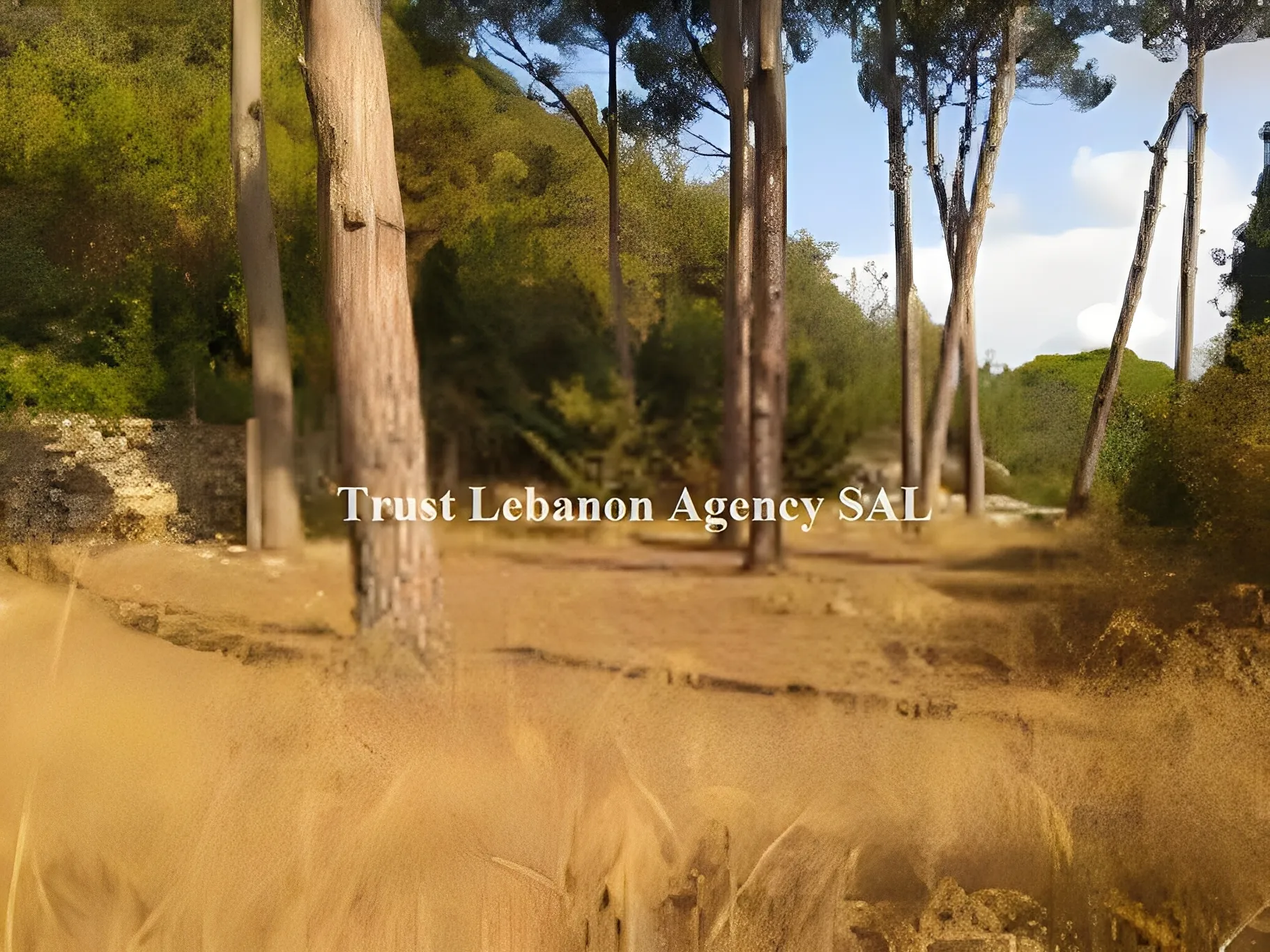 Land for Sale in Metn Jouret El Ballout Lebanon