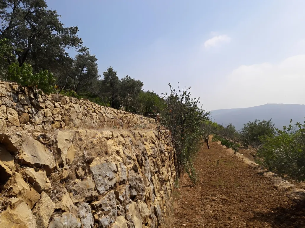 Land for Sale in Qaaqour, Lebanon