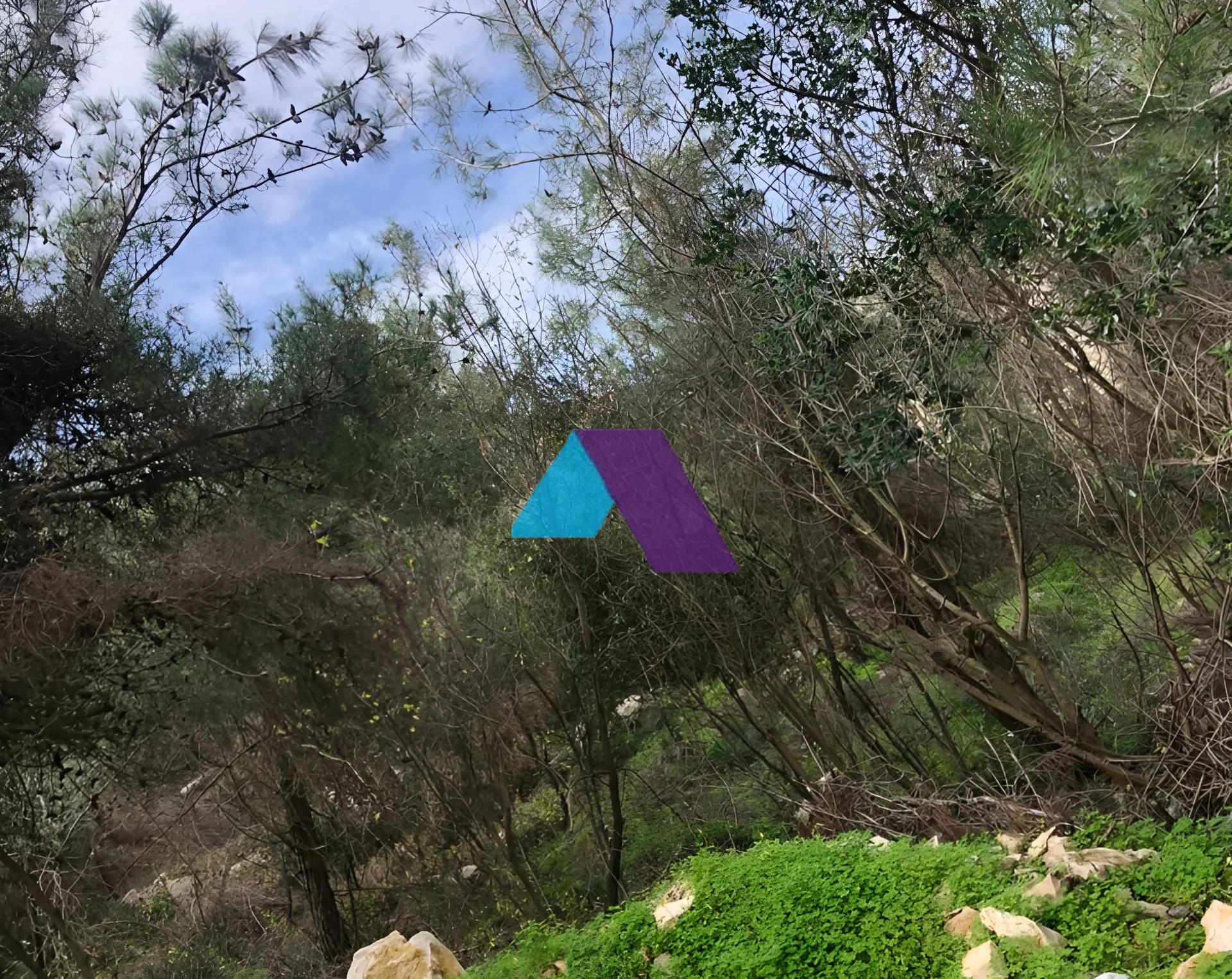 Land for Sale in Roumieh