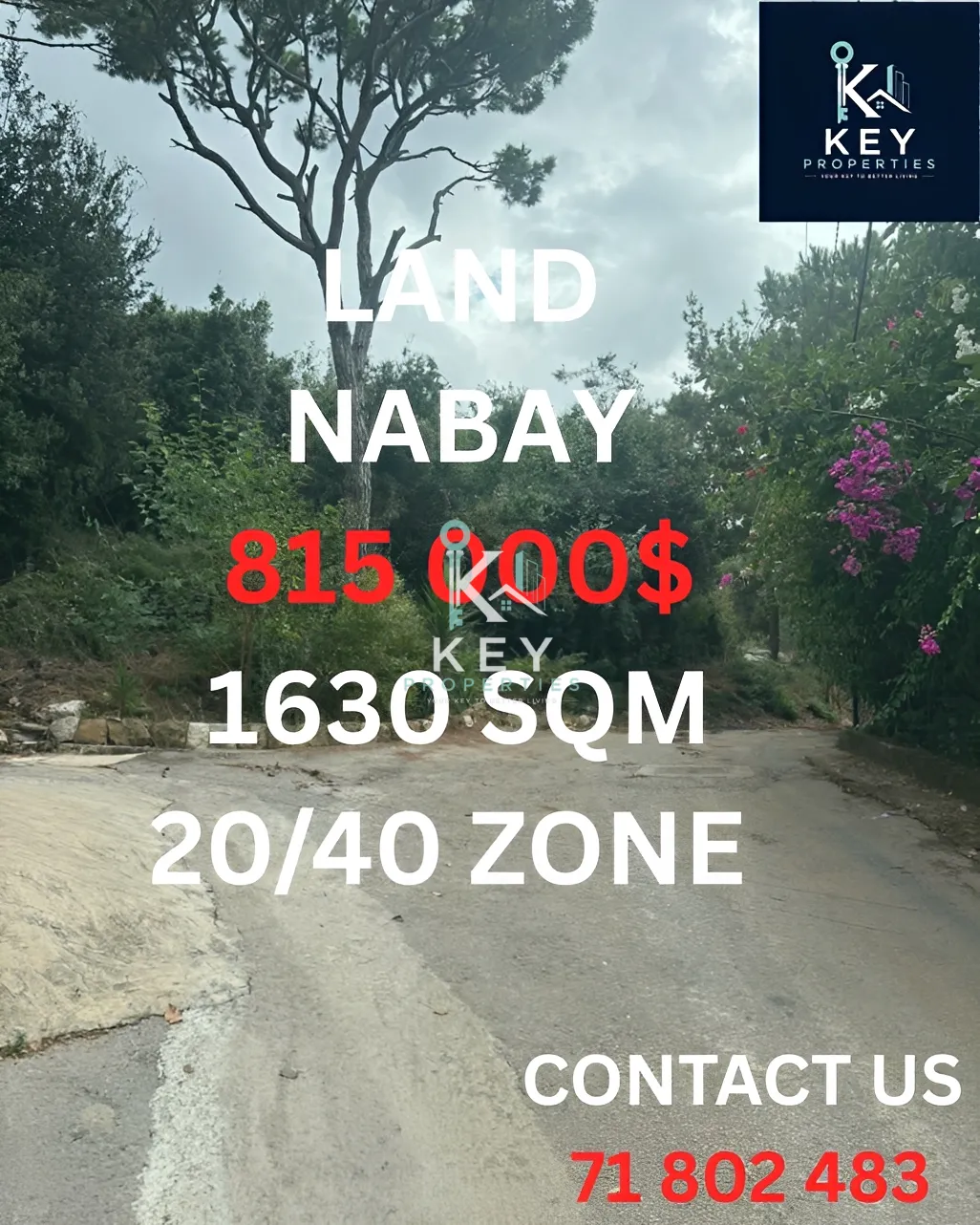 Land for sale in Nabiyeh