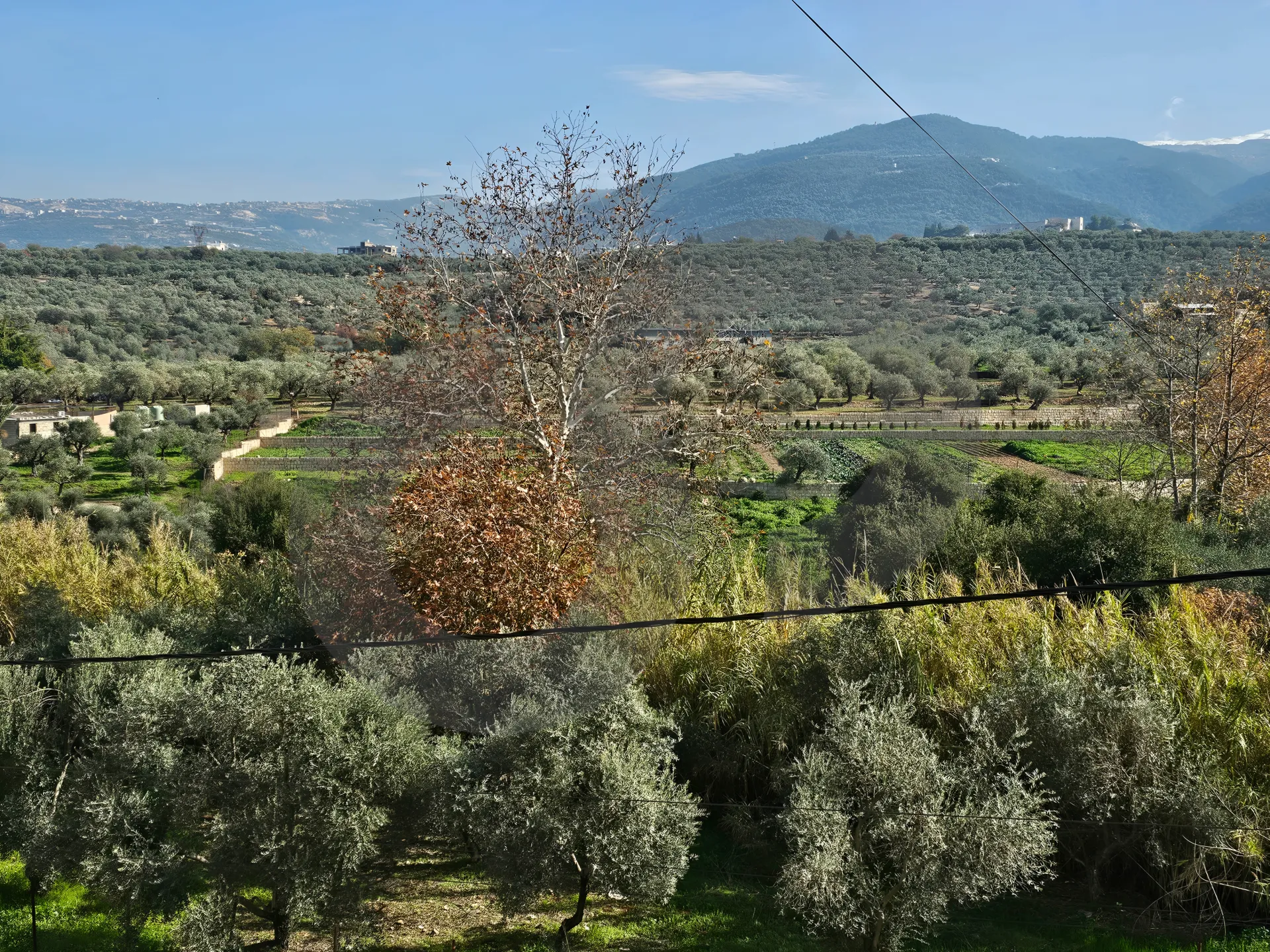 Commercial Property for Sale in Zgharta