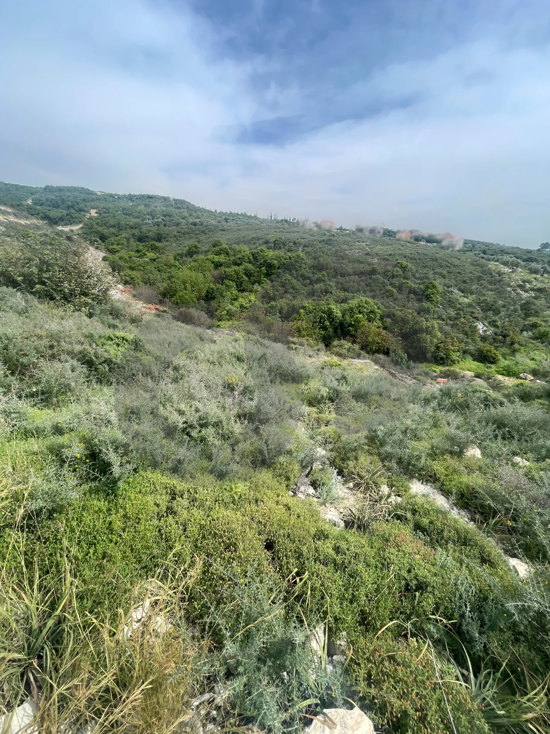 Land for Sale in Mansourieh