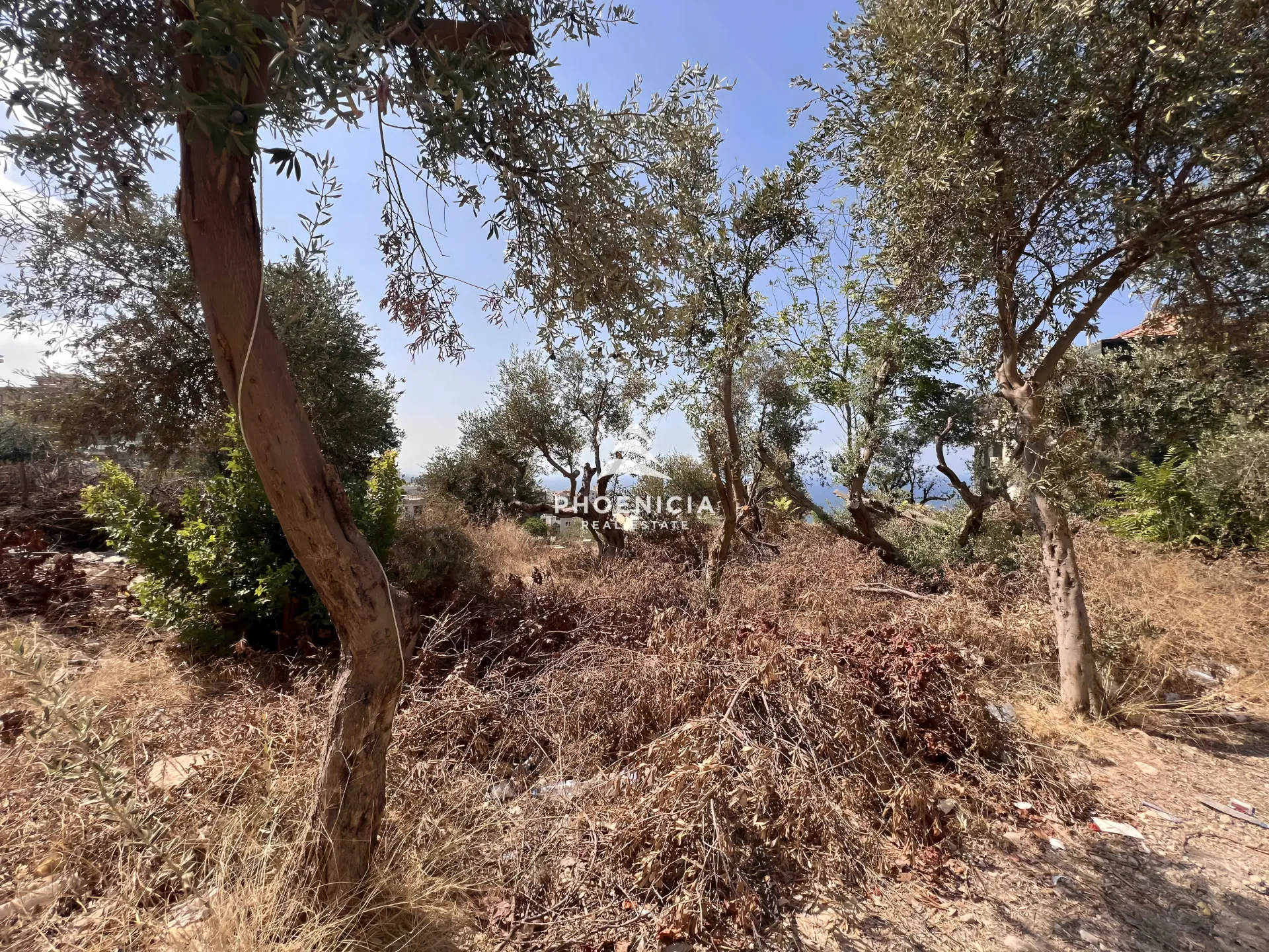 Land for Sale in Blat