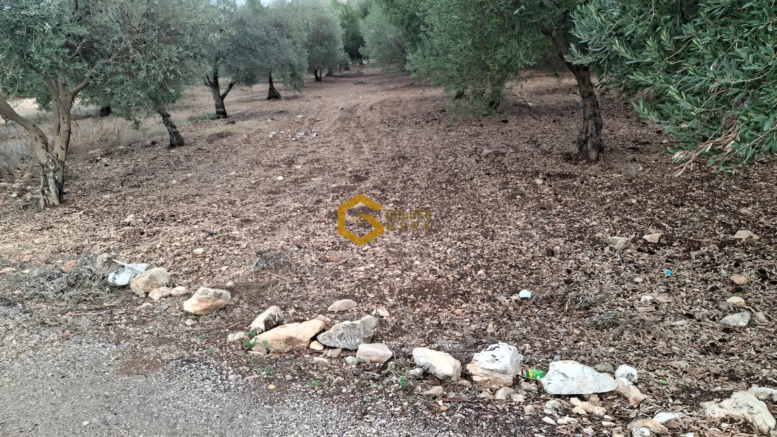 Land for Sale in Bziza