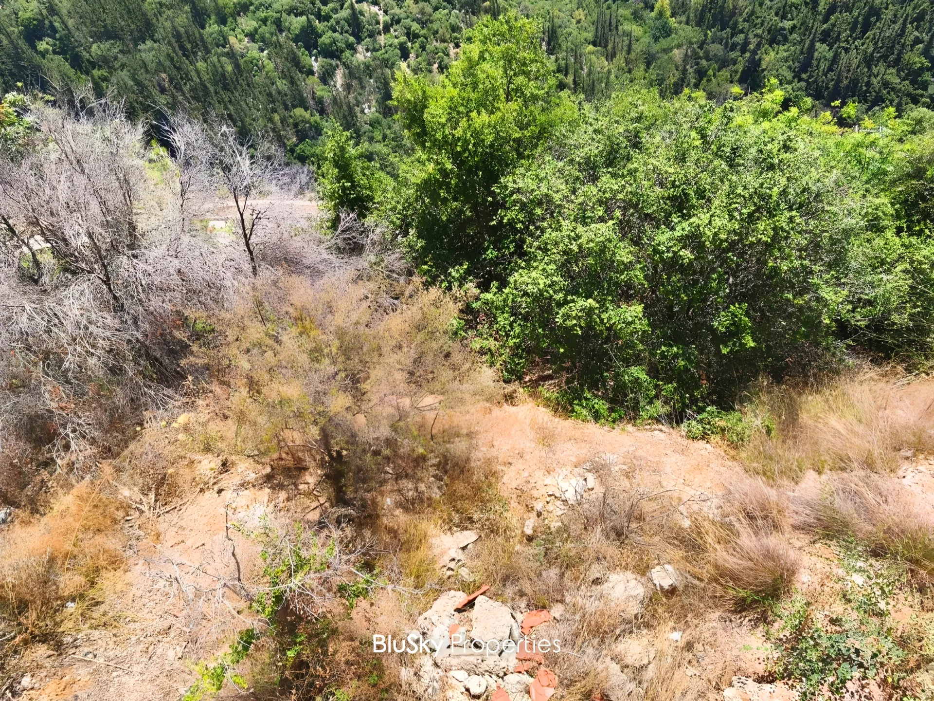 Land for sale in Adma w dafnah, lebanon