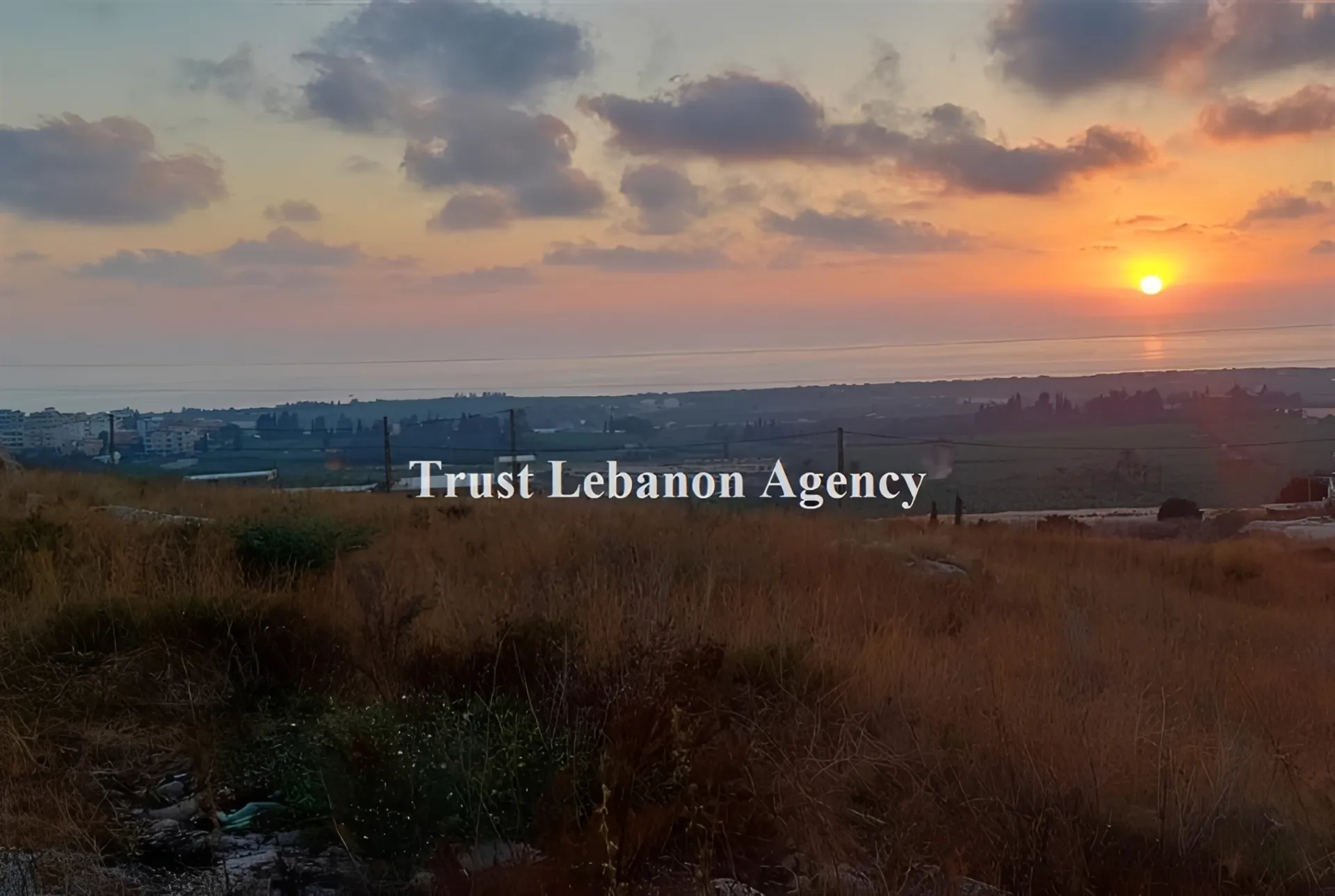 Land for Sale in Tyre
