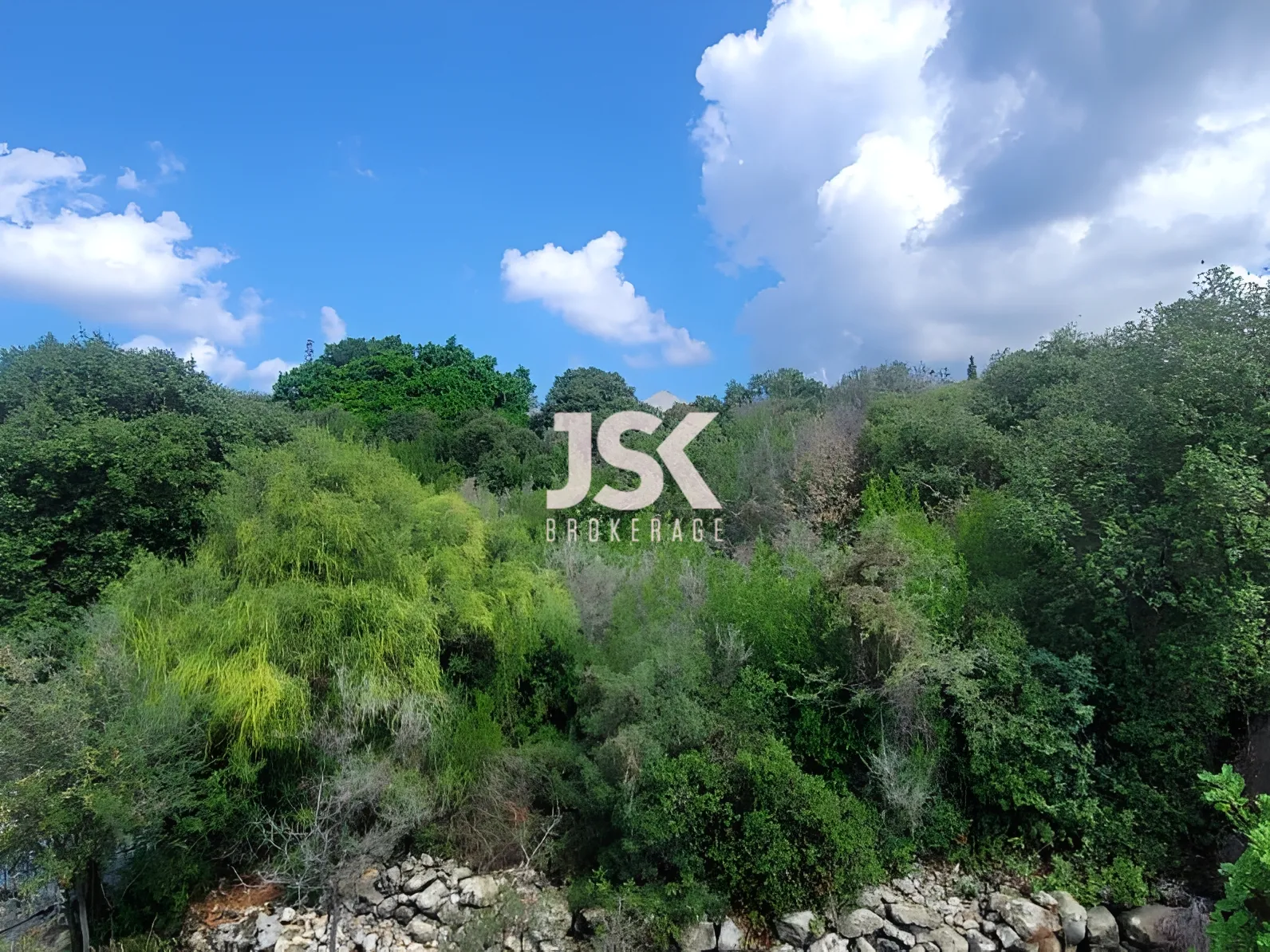 Land for Sale in Aamchit