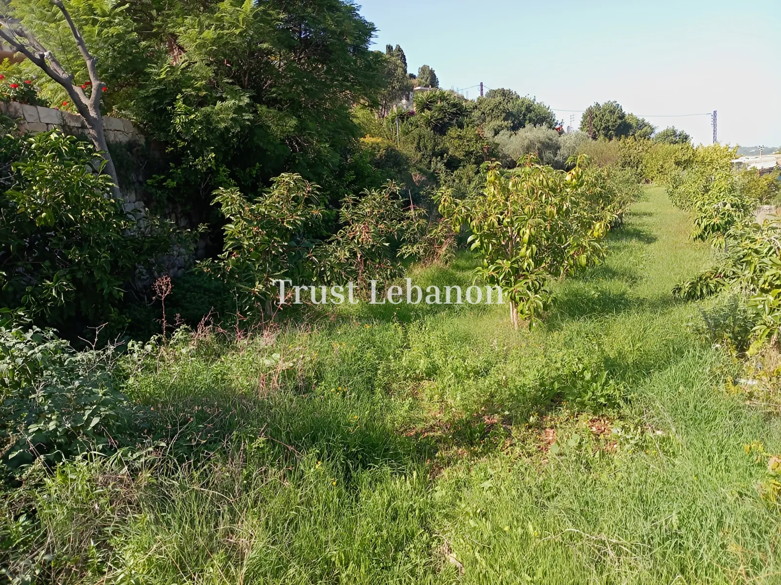 House for sale in Batroun