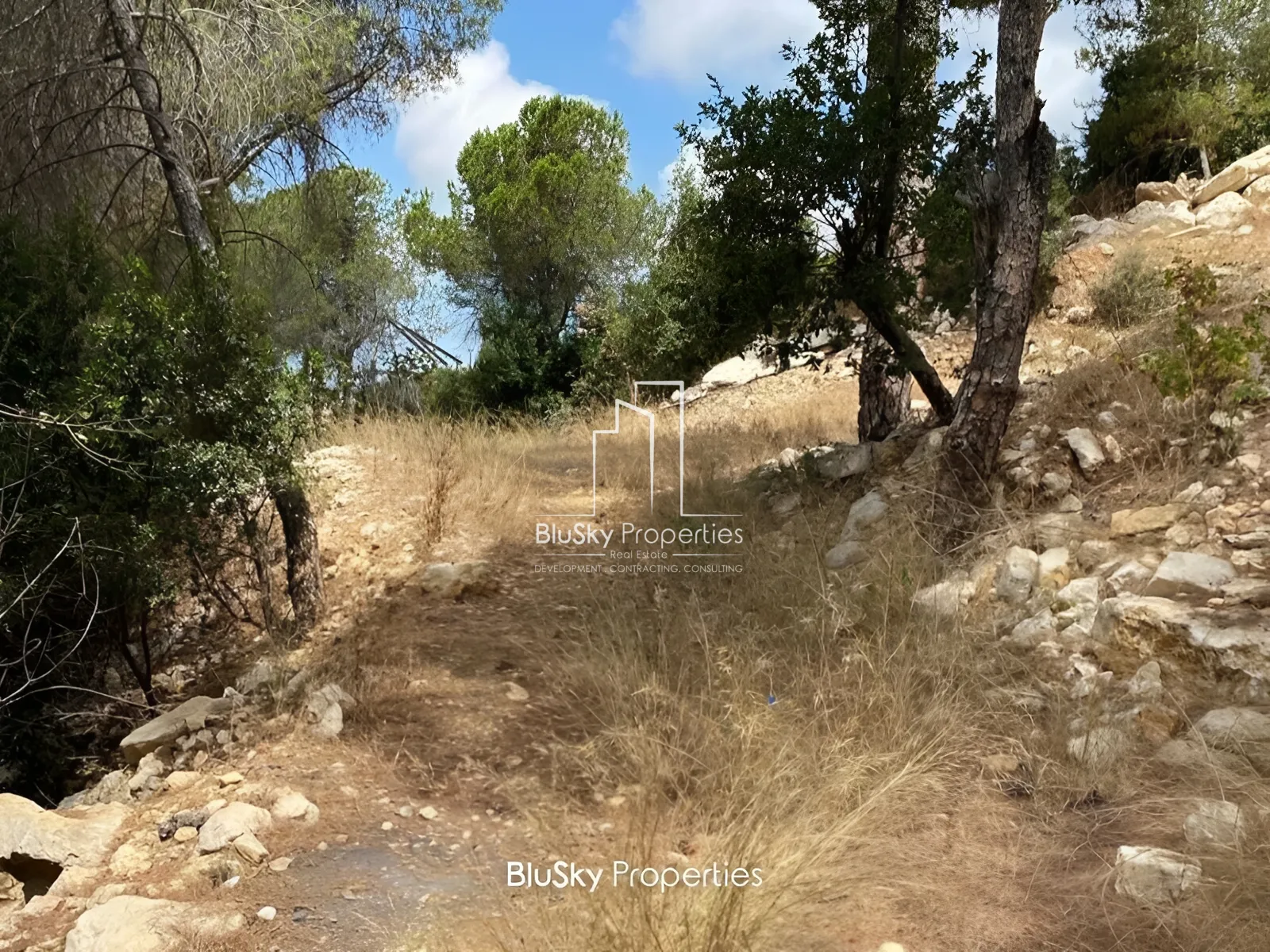 Land for Sale in Chnaniir