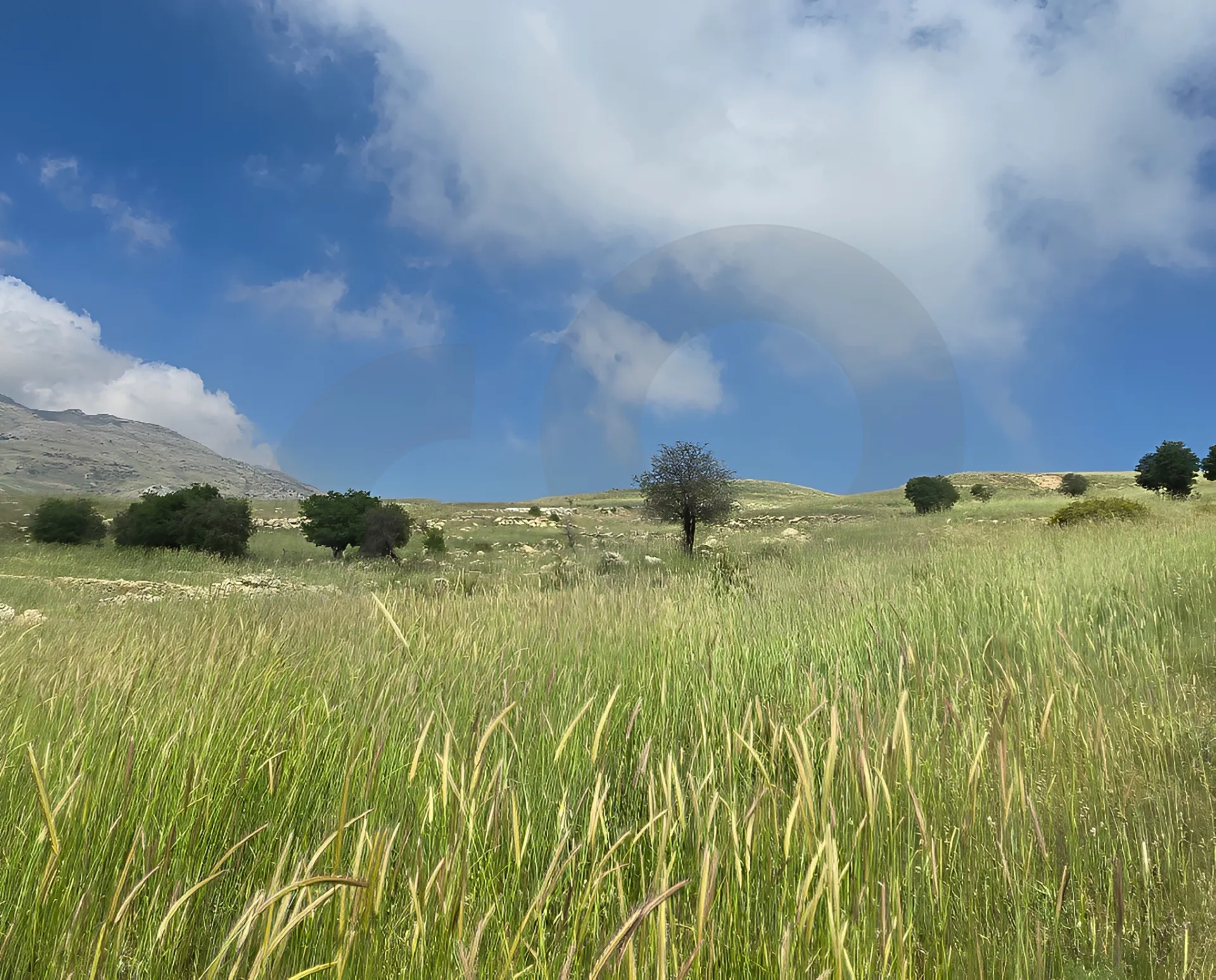 Land for Sale in Baabda