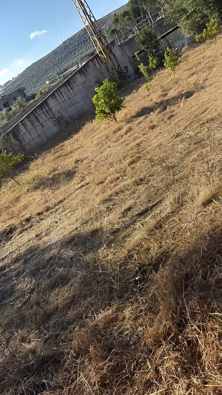 Land for sale in Koura, lebanon