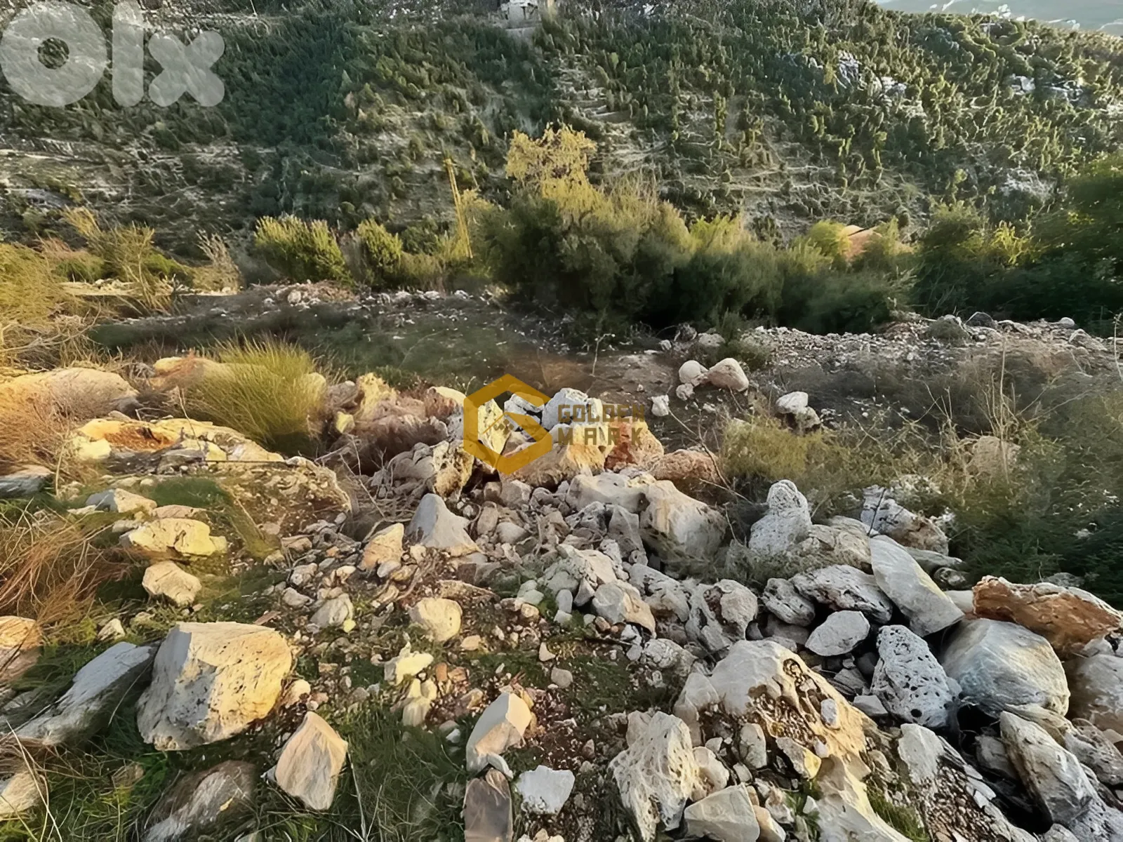 Land for Sale in Byblos