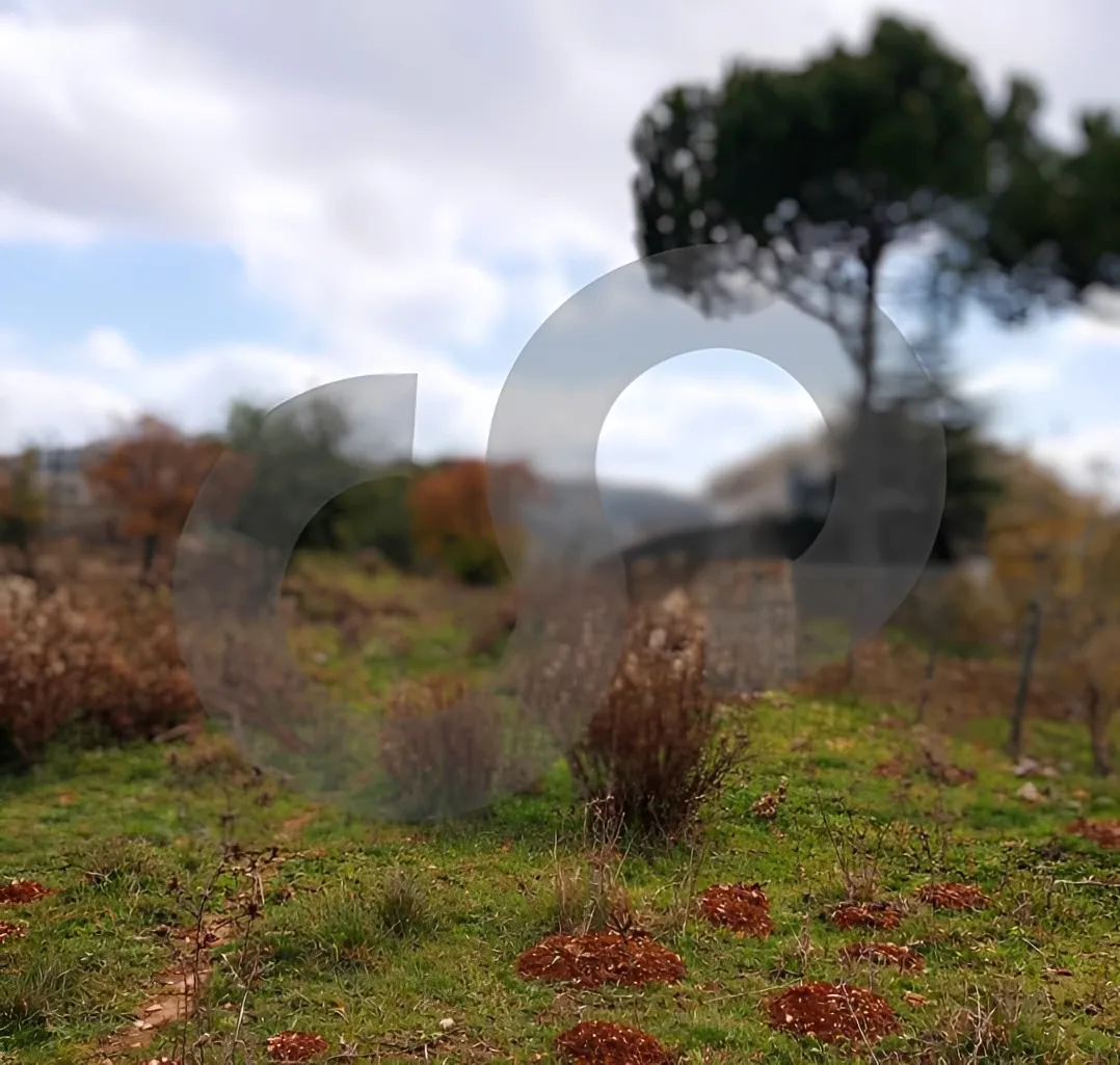 Land for Sale in Aley