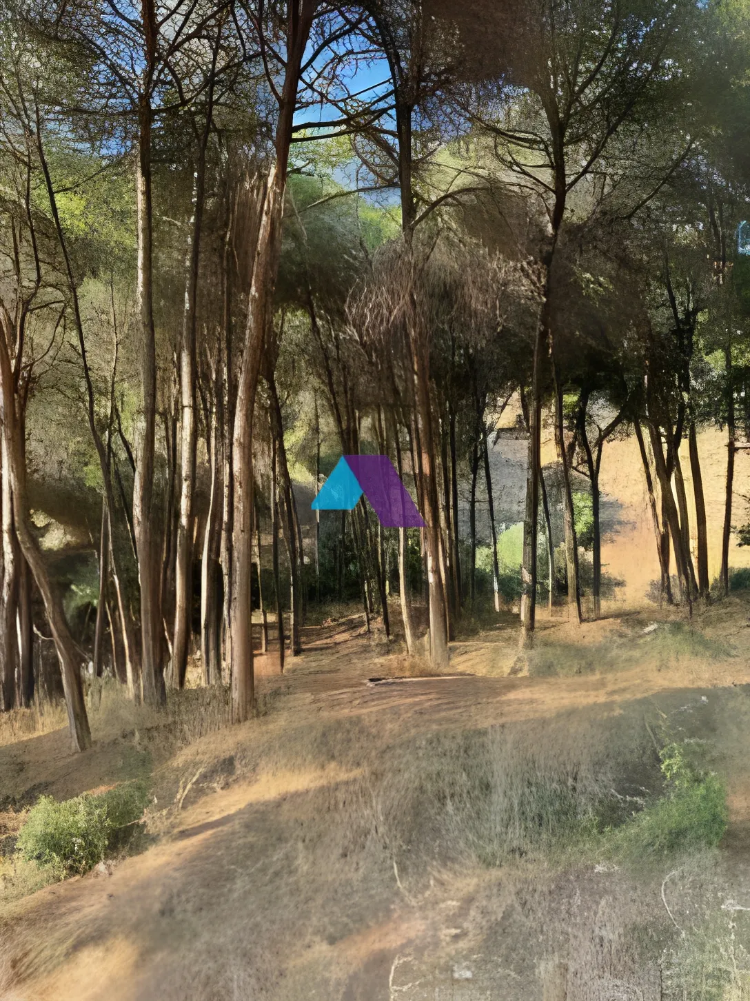 Land for Sale in Mansourieh