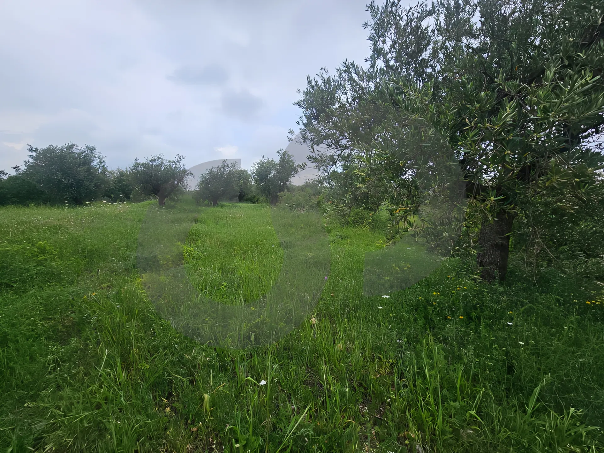 Land for Sale in Zgharta