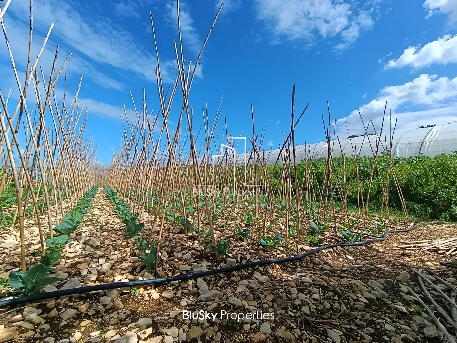 Land for Sale in Halat