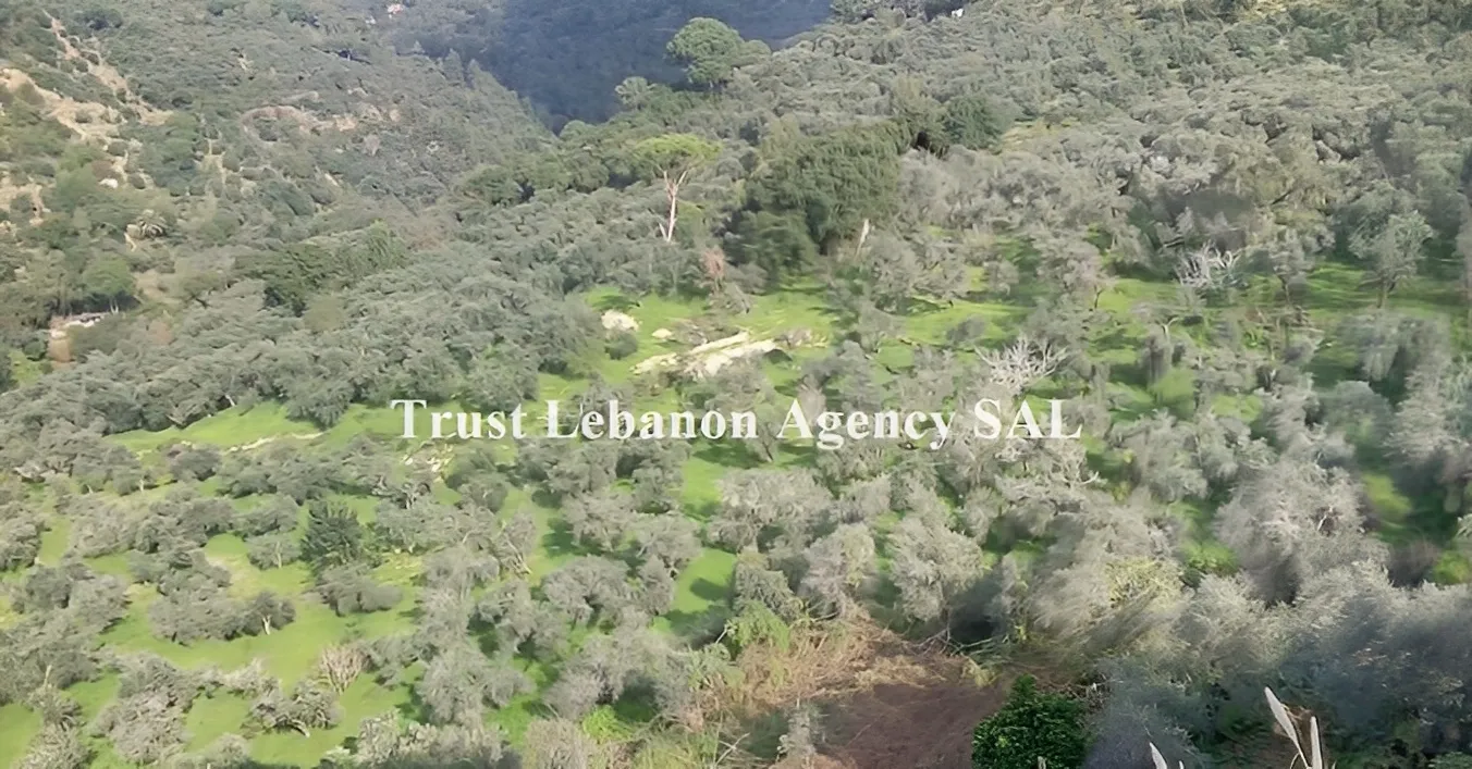 Land for Sale in Alay, Bsous Lebanon