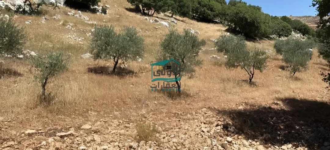 Land in كوكبا، راشيَا، lebanon