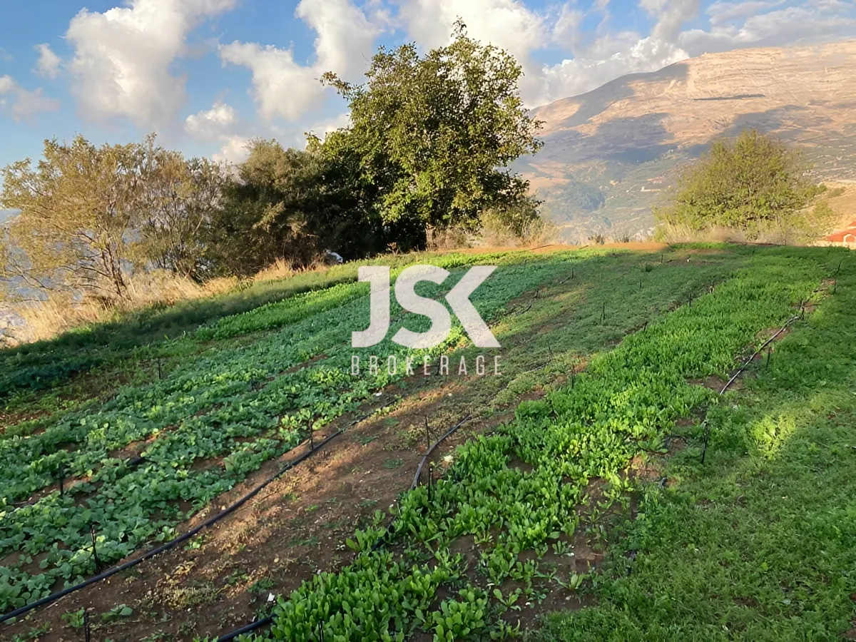 Land for Sale in Zaarour, Lebanon