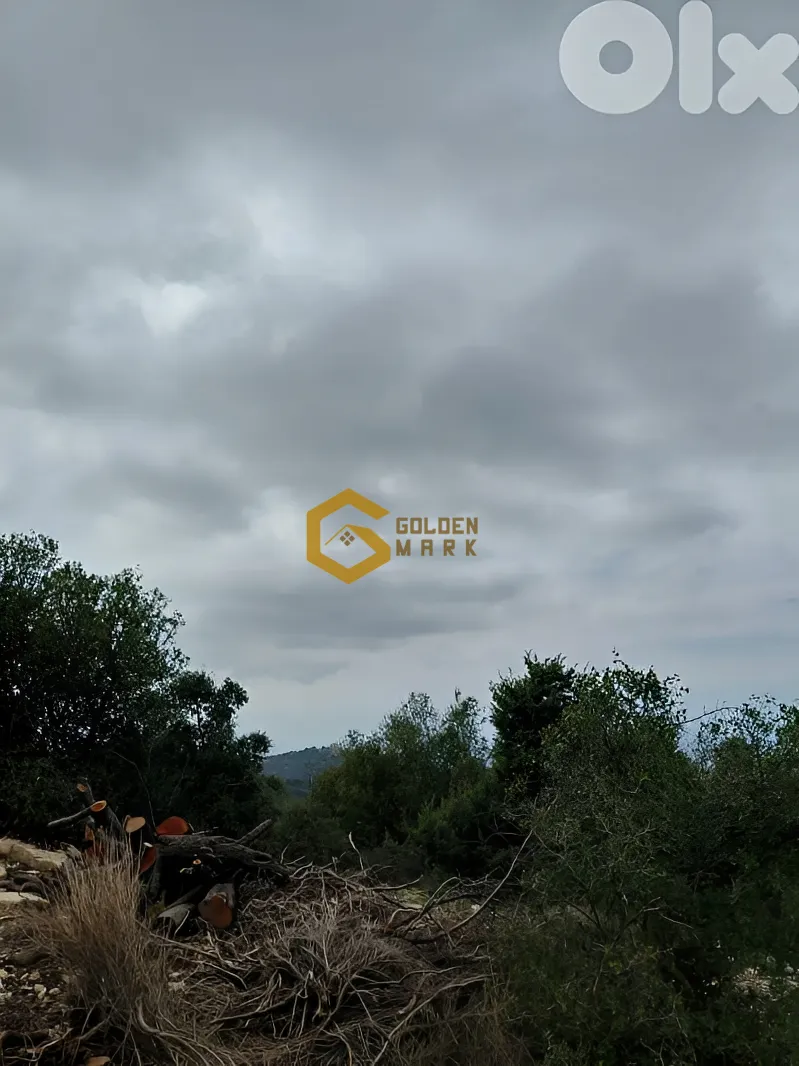 Land for Sale in Mechmech