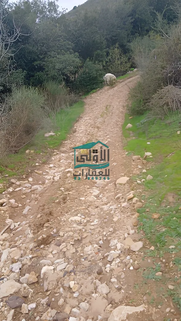 Land in Daqqoun, lebanon