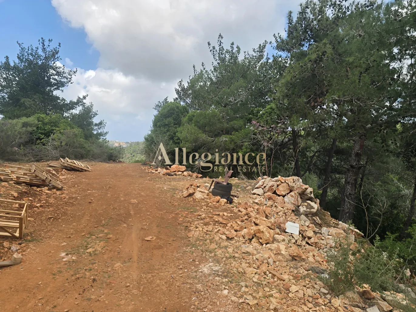 Agricultural Land for sale in Borjein, Lebanon
