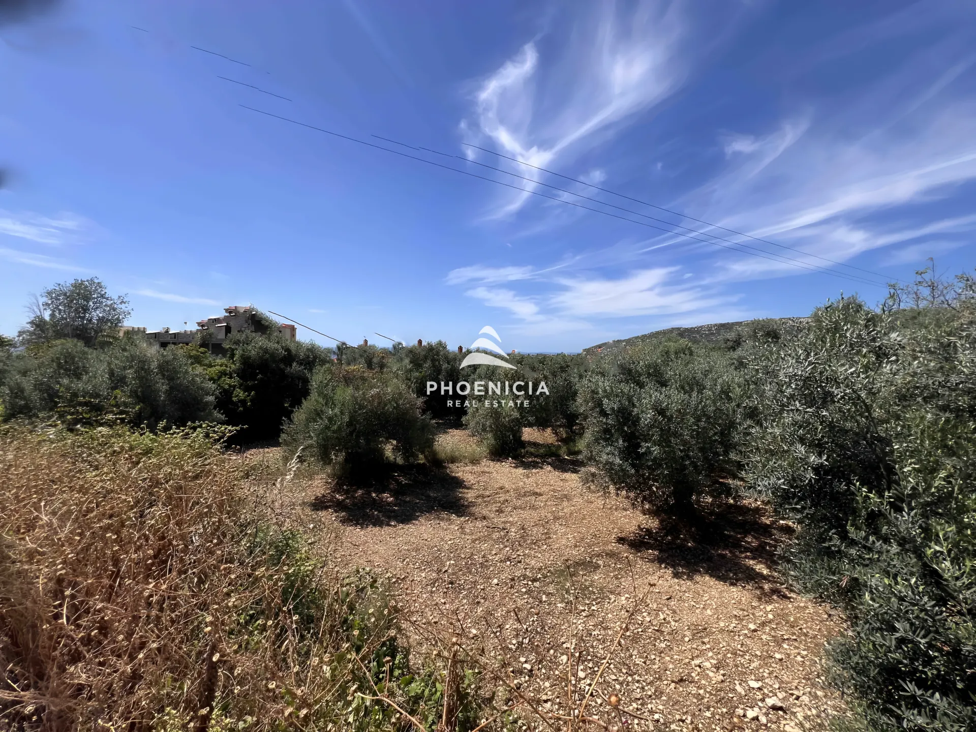 Land for Sale in Batroun