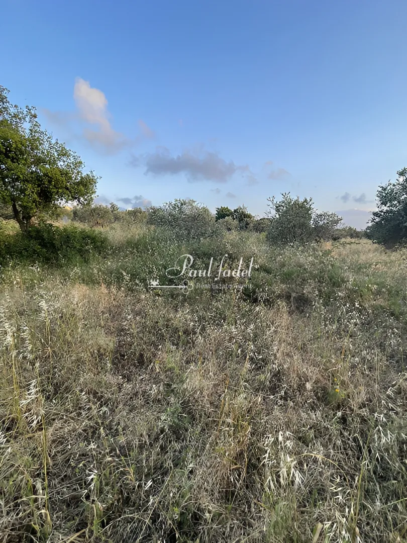 Land for sale in Batroun, lebanon