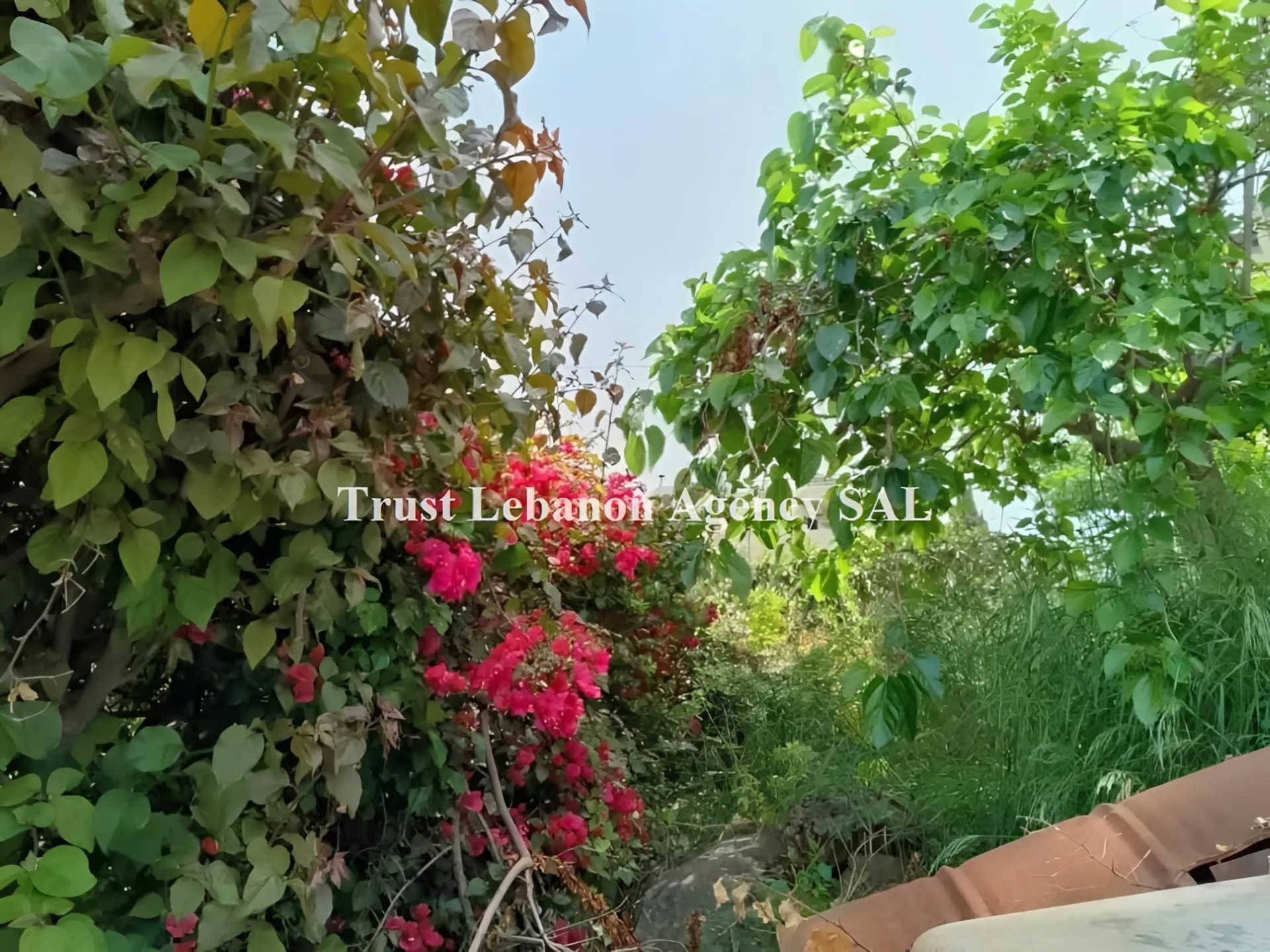 Land for Sale in Metn Sin El Fil Lebanon