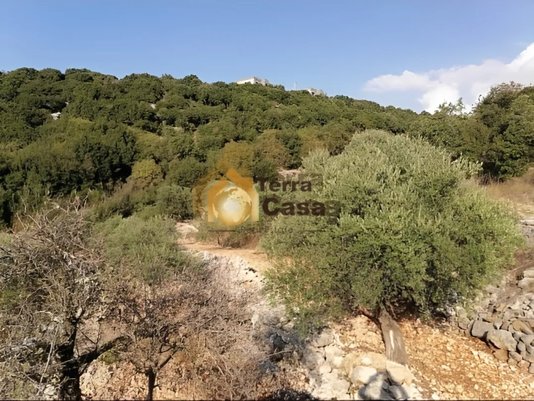 Land for Sale in Kfar Chlaimane Batroun North